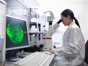 固体废物检测