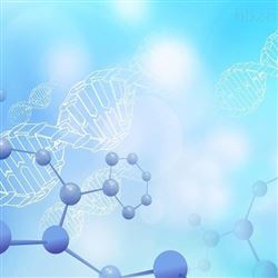 祛斑美白功效评价-第三方检测机构